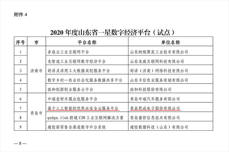 2020年山东省省级数字经济平台